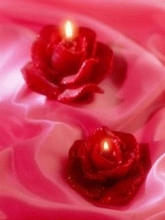 file_7635571