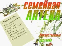 Энциклопедия Растений2
