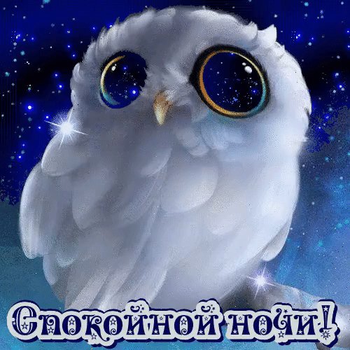 file_72768459
