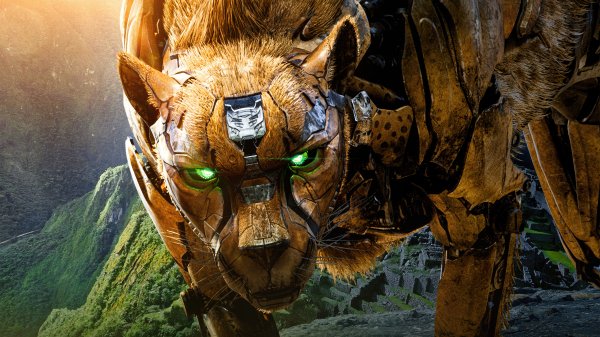 Cheetor transformers - rise of the beasts