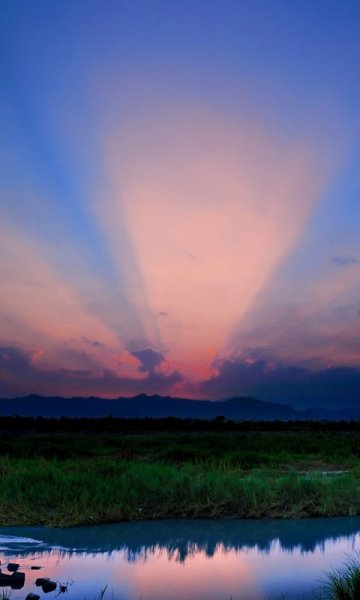wallpaper 480x800 13 20
