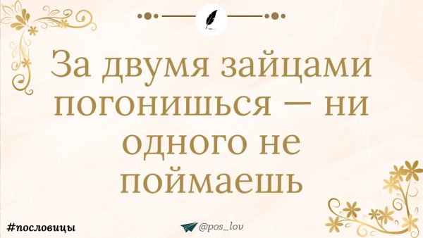 За двумя зайцами погонишься ни одного не поймаешь