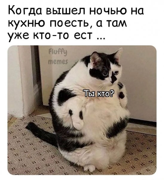 UID2363085 1659142108 13