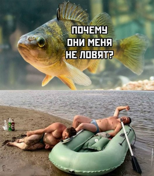 file_102759634