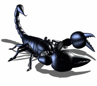 Scorpion Walk by WDBurns
