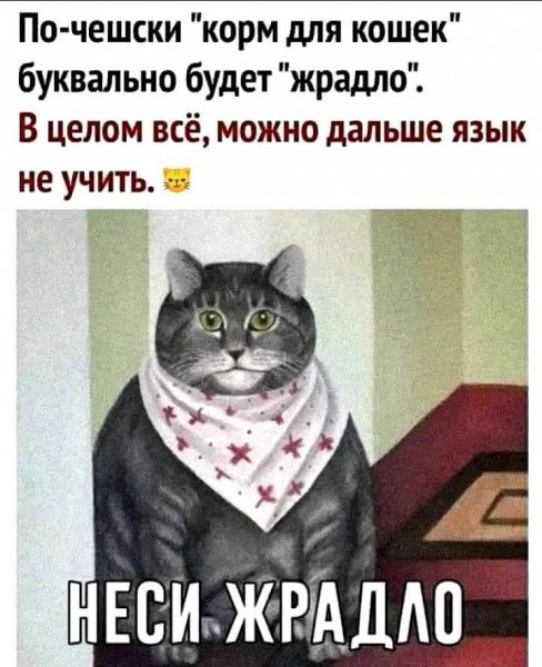 FB IMG 1778006924348