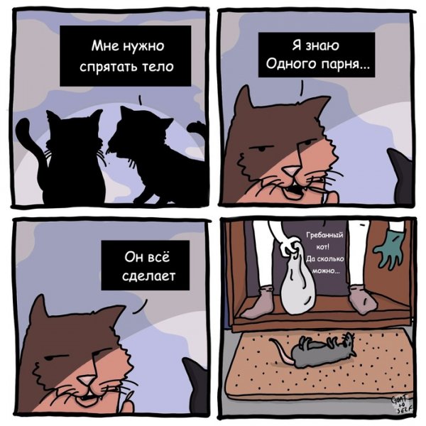 file_94707805