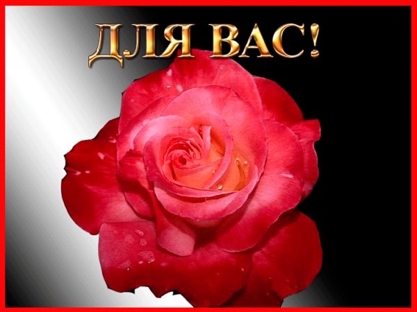 для вас