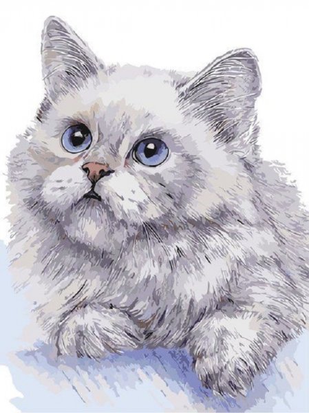 Белый кот (4)