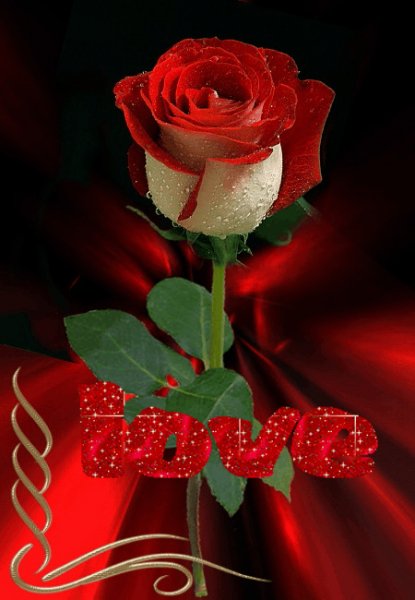 LOVE ОКР