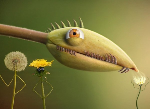 Мульты обои ПК