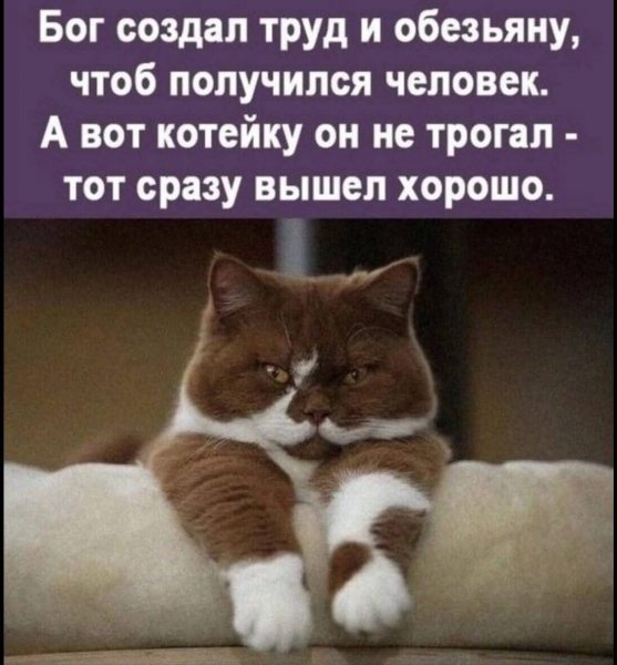 FB IMG 1779989638847