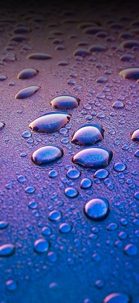 Purple Drops