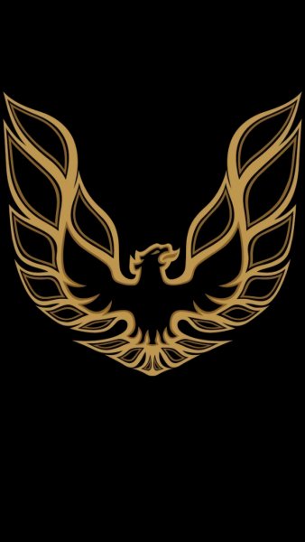 Pontiac Firebird-wallpaper-11088174