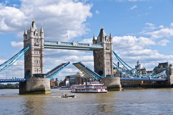 Shutterstock 1560972416