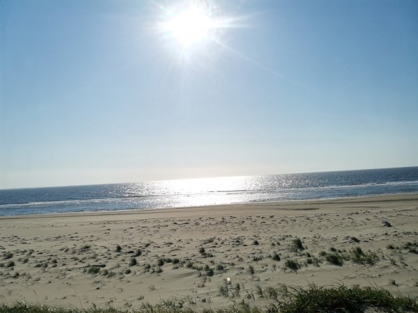 IMG-20220807-WA0031