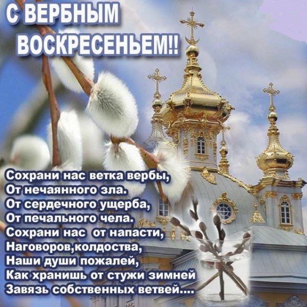 С Вербным воскресеньем!..4.