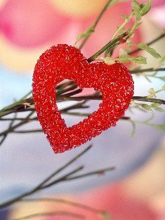 card30 240x320