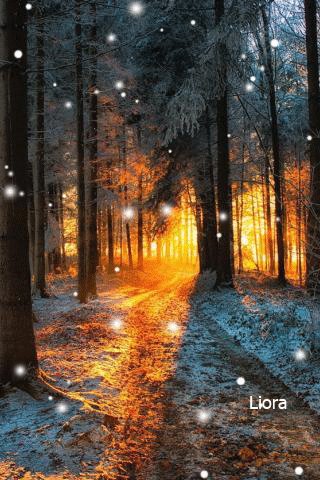 file_67137896