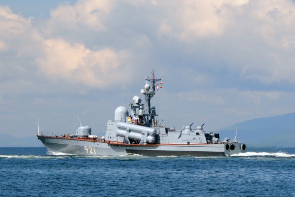 IMG viter59 Р-20