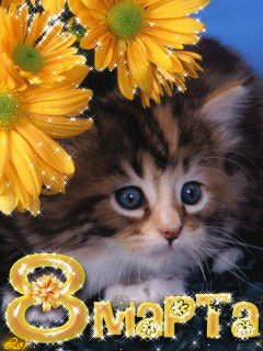 file_76844624