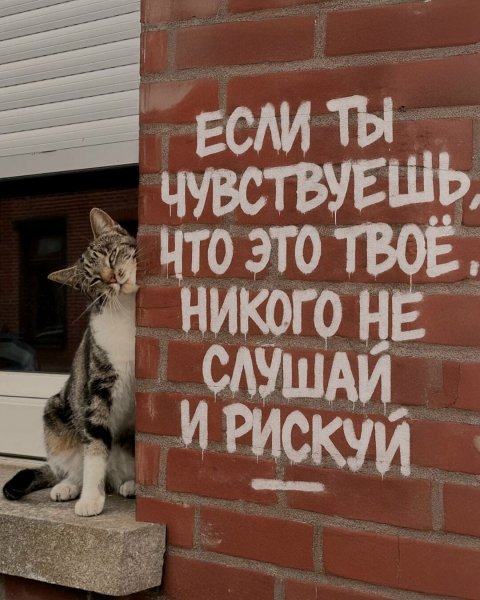 IMG 20260101 160438