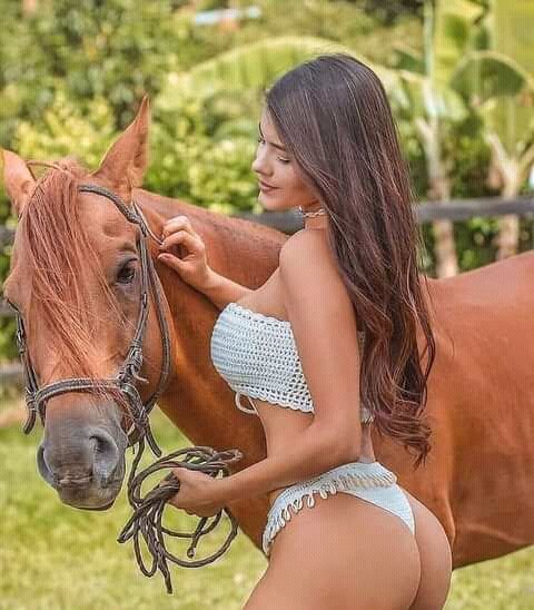 FB IMG 16342290458386192