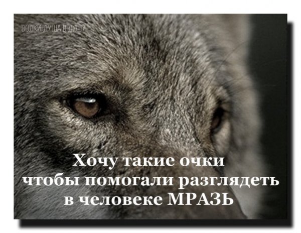 Хочу очки