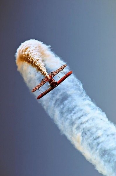 file_91126593