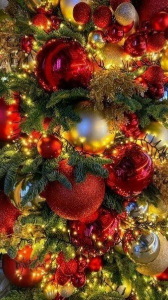file_95368201
