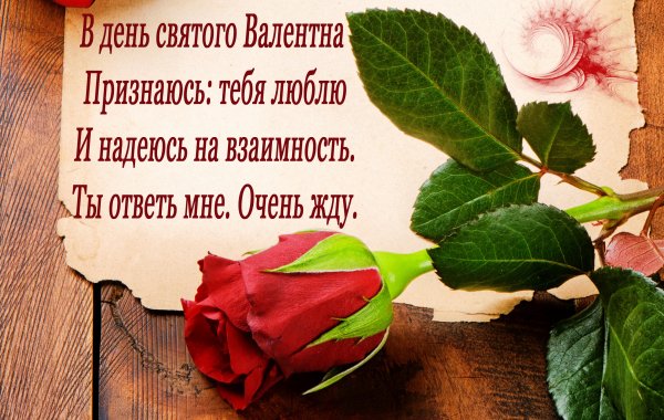 Red Rose