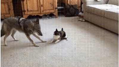 ))
