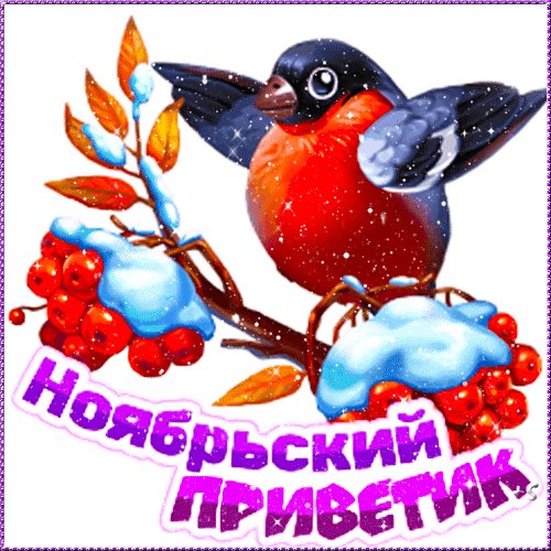 file_91880838