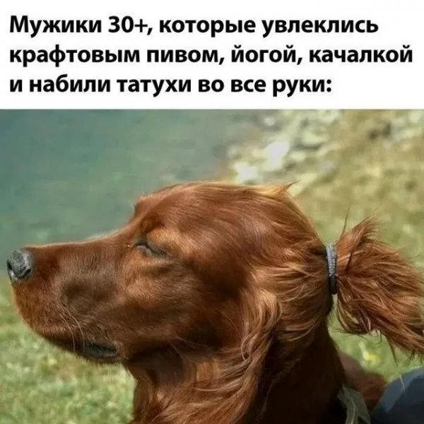 file_102647582