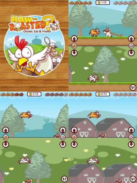 Raw or Roasted 240x320 N73