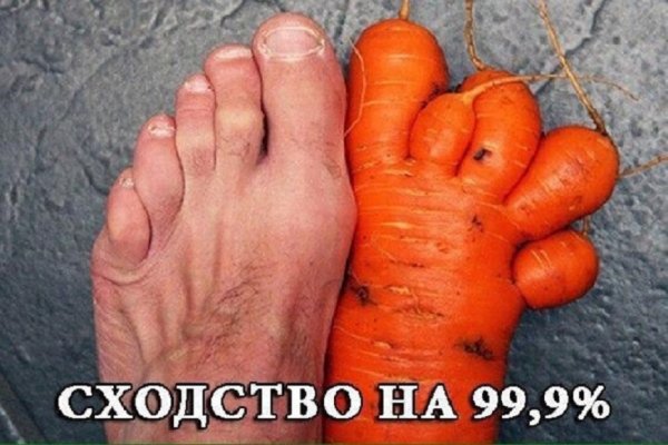 Сходство на 99,9%