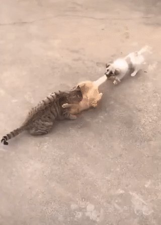 ))
