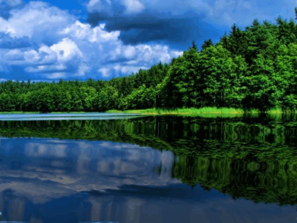 IMG 20150817 104203 53