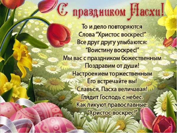 file_84186565