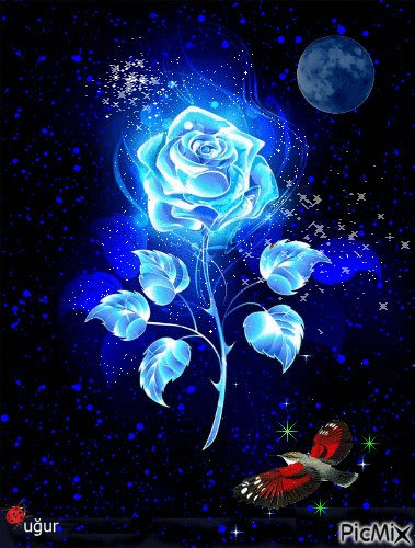 05e137a3dce8a2520360a8f20fb96098