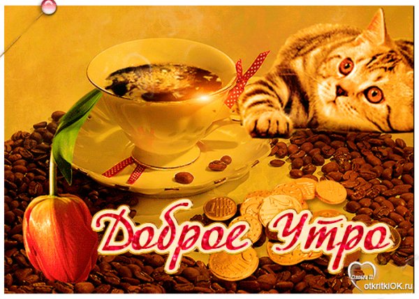 otkrytka-s-dobrym-utrom-45908-7892913