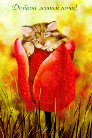 file_91135562