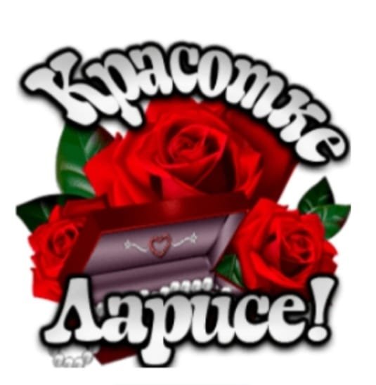 IMG-20250224-WA0045