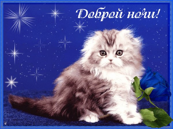 Анимированная открытка спокойной ночи (23)