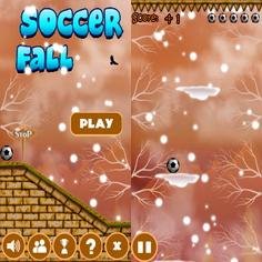 Soccer Fall 240x400