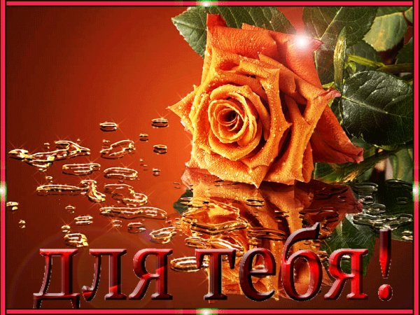 file_64006119