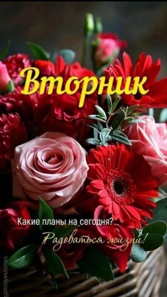 IMG 20260405 231016