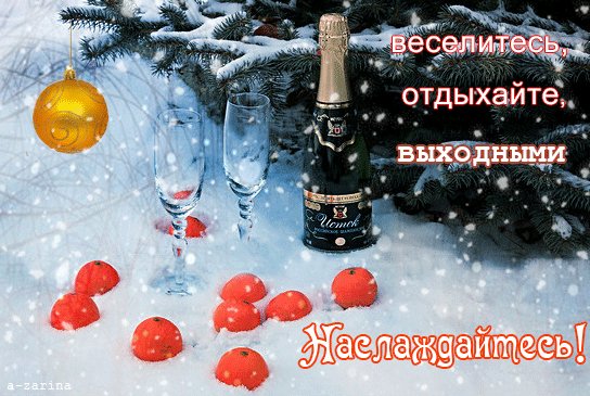 IMG 20211228 100929