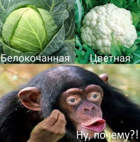 FB IMG 1778003110924