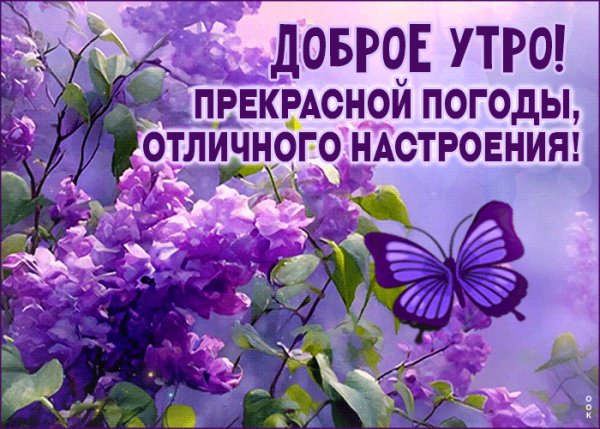 file_99147371